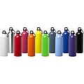 Oregon 750 ml RCS certified single wall stainless steel water bottle with carabiner, red