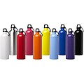 Oregon 750 ml RCS certified single wall stainless steel water bottle with carabiner, solid black