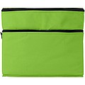 Oslo cooler bag, black, apple green