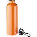 Pacific bottle with carabiner