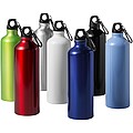 Pacific bottle with karabiner, light blue