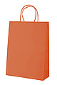 paper bag
