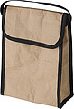 Paper cooler bag