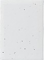Paper sticky notes Patricia