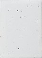 Paper sticky notes Patricia