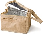 Paper woven cooler bag
