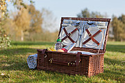 Picnic basket 