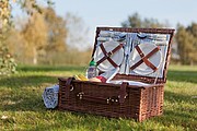 Picnic basket 