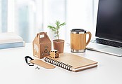 Pine tree notebook