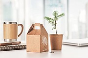 Pine tree set