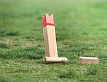 Pinewood outdoor throwing game