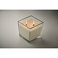 Plant based wax candle 1300 gr, transparent