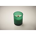 Plant based wax candle 80 gr, green