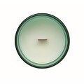 Plant based wax candle 80 gr, green