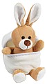 Plush rabbit