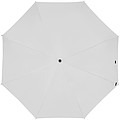 Pocket umbrella with carabiner handle