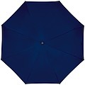Pocket umbrella with carabiner handle