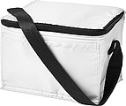 Polyester (210D) rectangular cooler bag