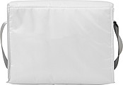 Polyester (420D) rectangular cooler bag