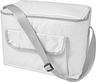 Polyester (420D) rectangular cooler bag