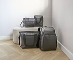 Polyester (600D) cooler lunch bag Tanja