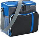 Polyester cooler bag (600D)