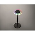 Rechargeable iron table lamp, black