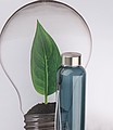Recycled PET bottle