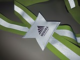 Reflective body belt