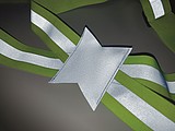 Reflective body belt
