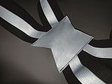 Reflective body belt