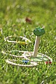 Ring toss game CRAZY LOOP