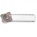 Ruler with magnifier, transparent