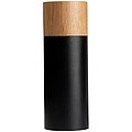 Salt and pepper mill