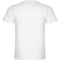 Samoyedo short sleeve mens v-neck t-shirt
