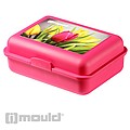 School box with compartment