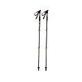 SCHWARZWOLF DENALI Set of 2 walking sticks