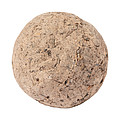 seed ball