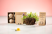 seed ball