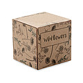Seed bomb growing kit MO6908-13