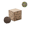Seed bomb growing kit MO6908-13
