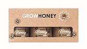 Set of 3 wildflower honey