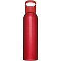Sky 650 ml sport bottle