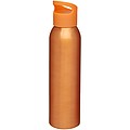 Sky 650 ml sport bottle