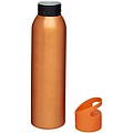 Sky 650 ml sport bottle
