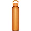 Sky 650 ml sport bottle