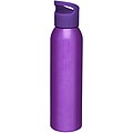 Sky 650 ml sport bottle