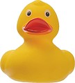 Squeeze Duck