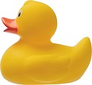 Squeeze Duck