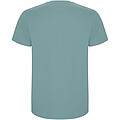 Stafford short sleeve kids t-shirt